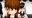 2020-01-27 05:43の投稿