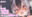 2024-05-14 21:55の投稿