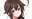 2024-05-19 12:55の投稿