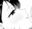 2024-05-19 19:25の投稿
