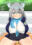 2024-05-20 05:22の投稿