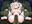 2024-05-20 19:58の投稿