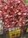 2024-05-26 18:47の投稿