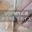 2024-05-31 18:00の投稿