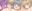 2020-02-04 02:41の投稿