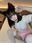 2024-06-13 19:00の投稿