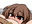 2017-12-05 18:28の投稿