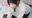 2024-06-15 12:00の投稿