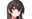 2024-06-20 18:46の投稿