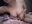 2024-07-06 13:09の投稿
