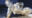 2024-07-09 21:18の投稿