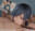 2024-07-13 21:01の投稿