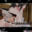 2024-07-15 19:41の投稿