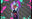 2020-02-20 01:05の投稿