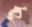 2020-02-21 16:32の投稿
