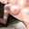 2024-08-20 10:28の投稿