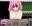 2024-08-07 00:08の投稿