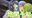 2024-08-10 18:00の投稿