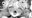 2024-08-19 14:15の投稿