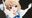 2020-02-29 20:06の投稿