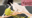 2024-08-24 21:30の投稿