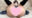 2024-08-25 19:19の投稿