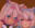 2024-08-30 07:00の投稿