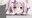 2024-08-29 18:41の投稿
