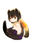 2020-03-03 20:17の投稿