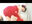 2024-09-05 10:00の投稿