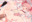 2024-09-02 00:00の投稿