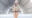 2024-09-17 00:00の投稿