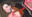 2024-09-10 00:00の投稿