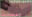 2024-09-07 20:26の投稿