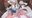 2020-03-13 20:00の投稿
