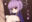 2024-09-10 21:44の投稿