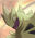 2024-09-18 19:00の投稿