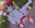 2024-09-18 00:00の投稿