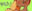 2024-09-20 12:00の投稿