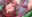 2020-03-09 23:38の投稿