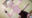 2024-09-20 19:05の投稿