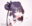 2024-09-25 19:00の投稿