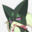 2024-09-26 00:00の投稿