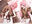 2024-10-09 00:51の投稿