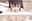 2020-03-17 05:48の投稿