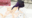 2024-10-19 21:30の投稿