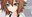 2020-03-18 23:50の投稿