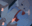 2024-10-21 00:00の投稿