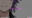 2024-11-07 01:25の投稿