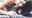 2024-11-12 21:00の投稿